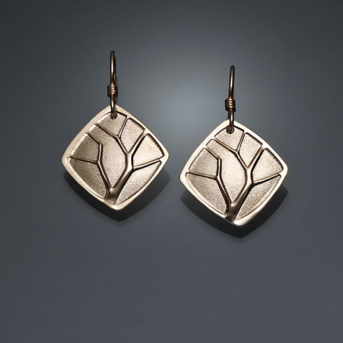 14K Gold Filled Earrings (156Br.y)